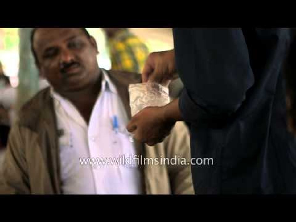 Indians swallow fish filled with medicine to cure asthma