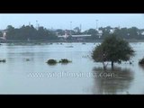 Yamuna river floods over and imperils Delhi city