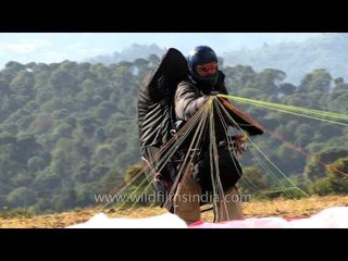 Paraglider landing at a field, Himachal Pradesh