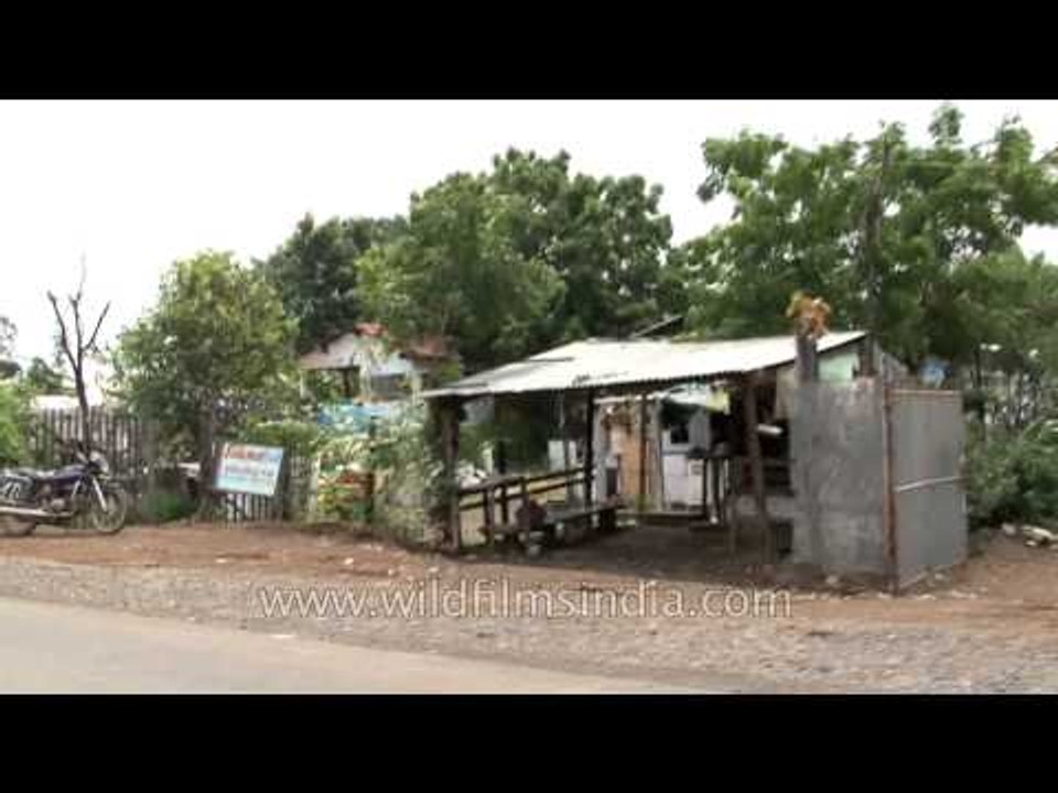 Driving towards ship breaking yard in Alang - Gujarat