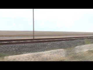 Drive through Bhavnagar, Gujarat