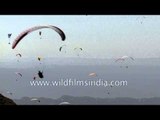 Gaggle of paragliders