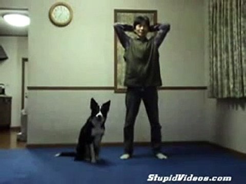 psia gimnastyka tego jeszcze nie widziałeś