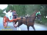 JIGER HORSE RACE TRY(AHMAD SHAH )