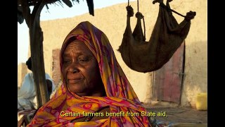Documentary-Mauritania :Securing Agro-Pastoral Production 2012 (EN)