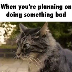 When you Plan to so some thing Bad