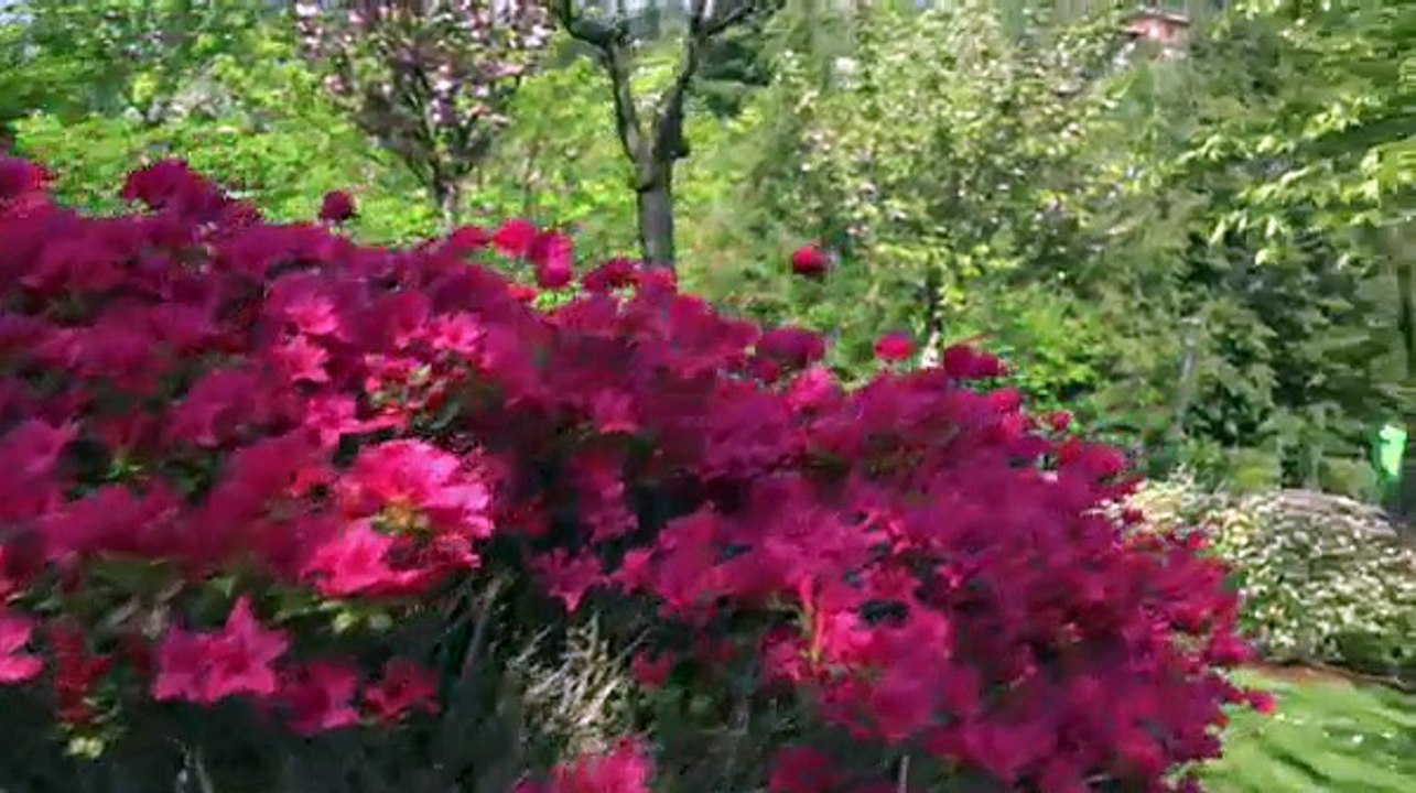 Südtirol - Trauttmansdorff – ein Schloss für Blumen und Bäume