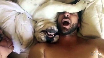 Un chien fait de droles de bruits