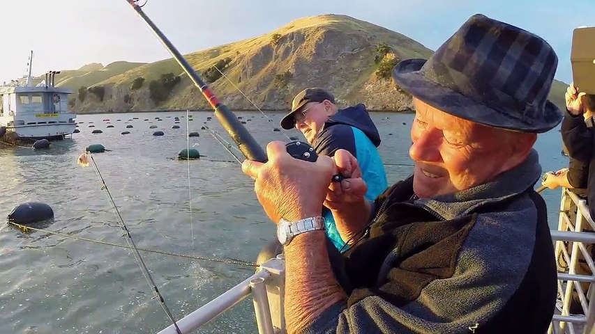 GoPro- A Simple Way of Life in The Coromandel