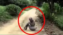 REAL HYBRID ALIEN CREATURES CAUGHT ON TAPE Allah ka azab