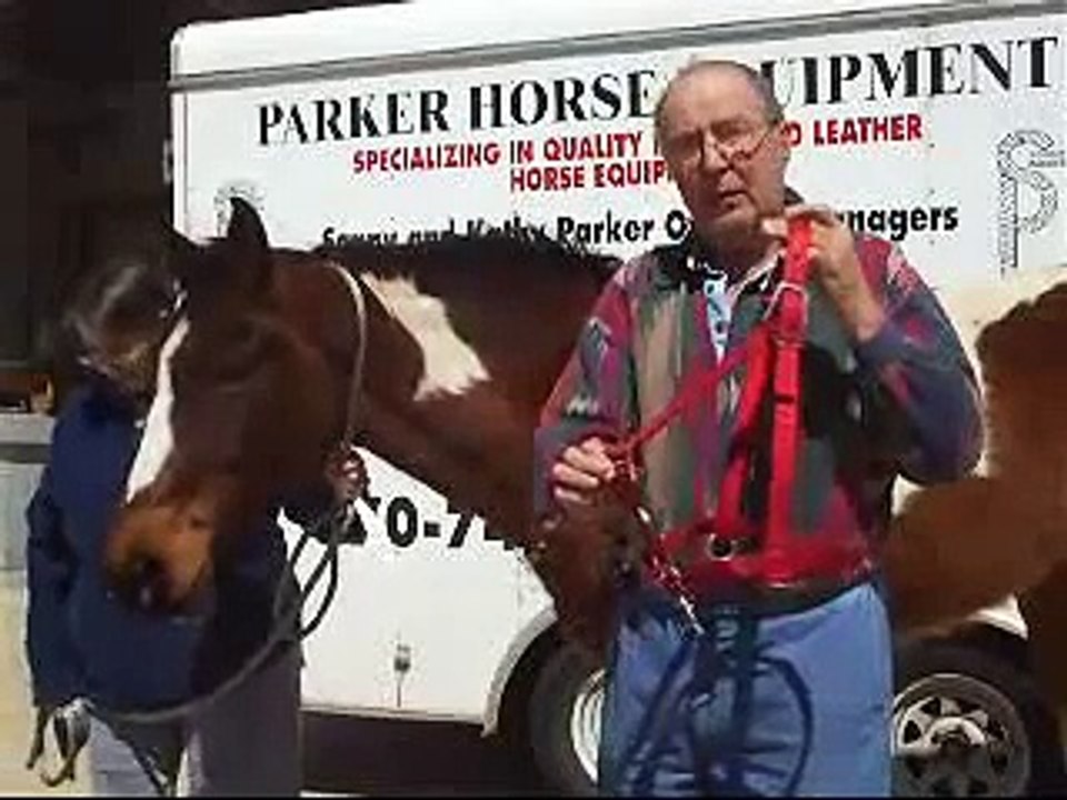 Horse Halter Demonstration