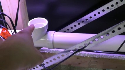 #259: 3 Barrel Aquarium Sump Walk-through - Update Monday