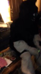 Furry playing resident evil 6