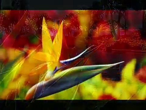 Qari Waheed Zafar Qasmi Allahu (As subuhu bada min)