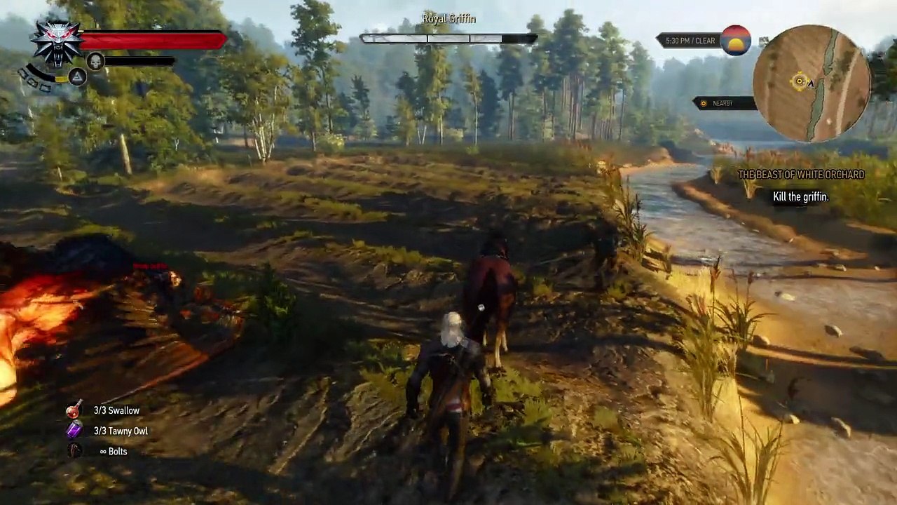 The Witcher 3: Griffon