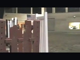 Marquis Flatting: Pony For Sale