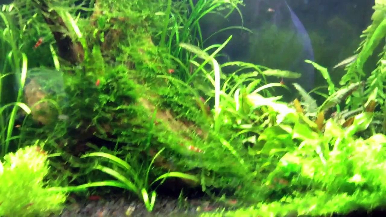 Heaters, advice and tips