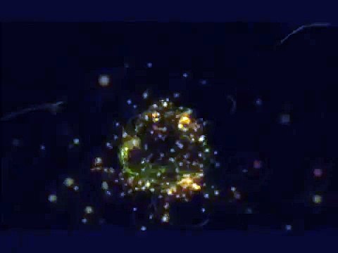 The Cranberries - Ode To My Family (HQ / Lyrics)