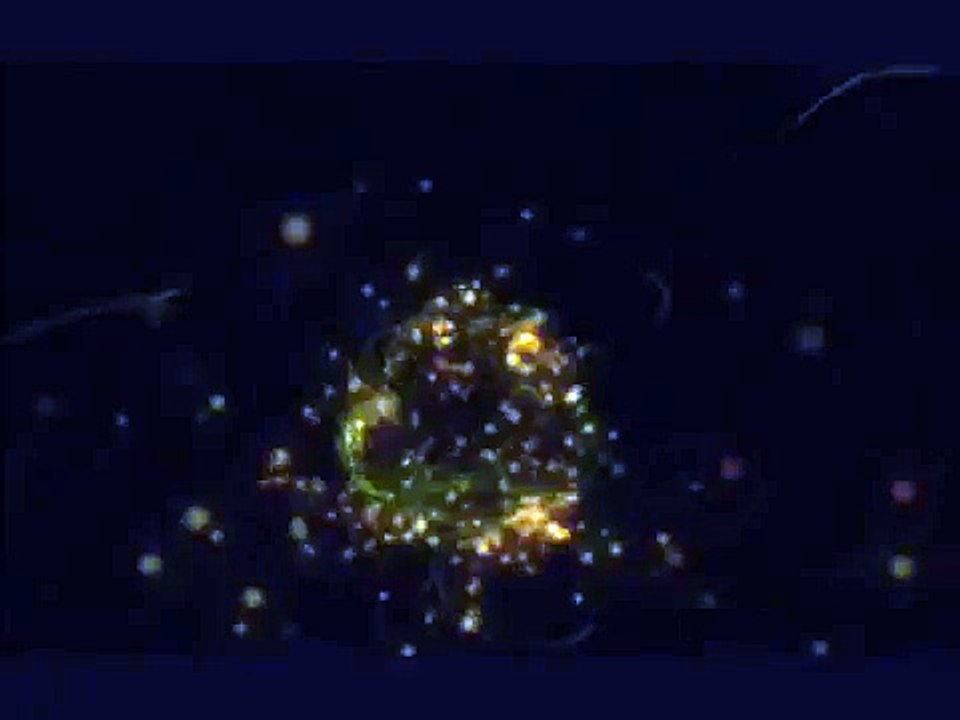 The Cranberries - Ode To My Family (HQ / Lyrics)