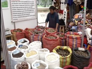 Peru: Government Fails to Support Small Farmers