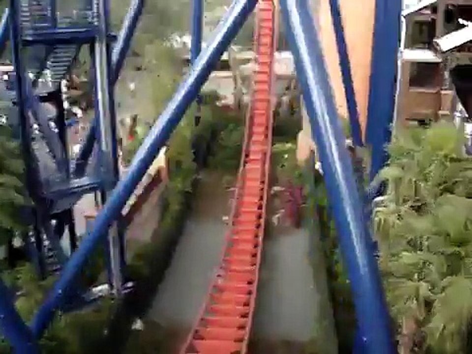 Sheikra - Roller Coaster - Busch Gardens