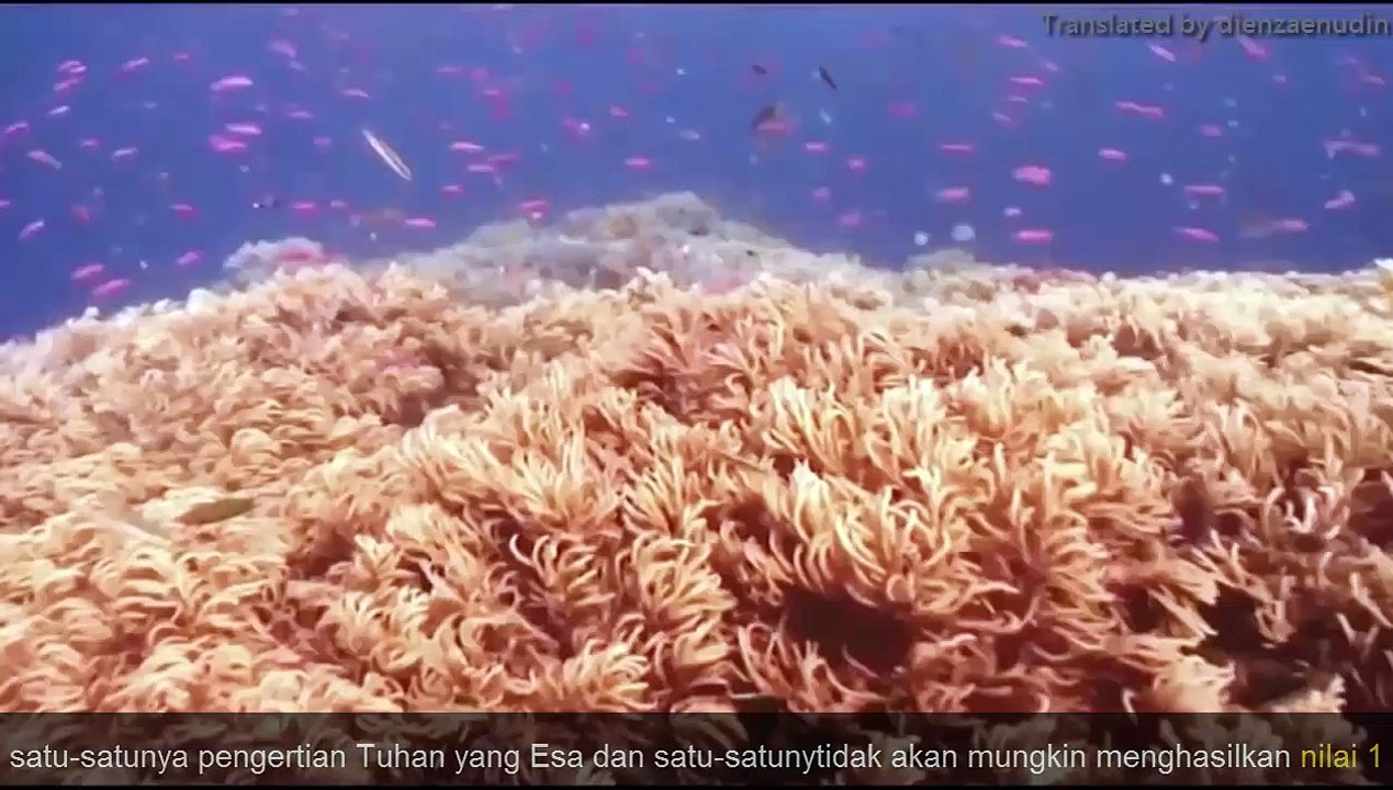 Makna Kehidupan Pesan Kepada seluruh umat manusia di dunia