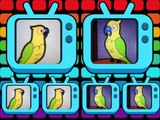 [MBAVRMV] - {FILLER} Dood Pet Parrot Sketch It (Mr. Bean Animated Series x Steve Pardo - Dood It)