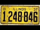 Illinois License Plate Collection 254 Plates
