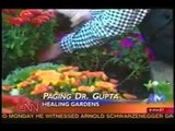 Healing Gardens Alzheimer's Disease Therapy - CNN American Morning Intvw w/ Dr. John Zeisel