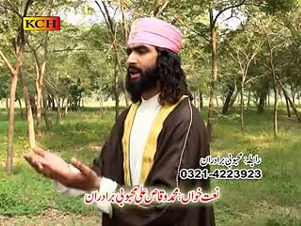 Waqas Ali Mehboobi Brotharaan Album 04 Karbal De Mahiye