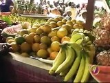 Eat Jamaican Launch News - TVJ. - 1/3/2011