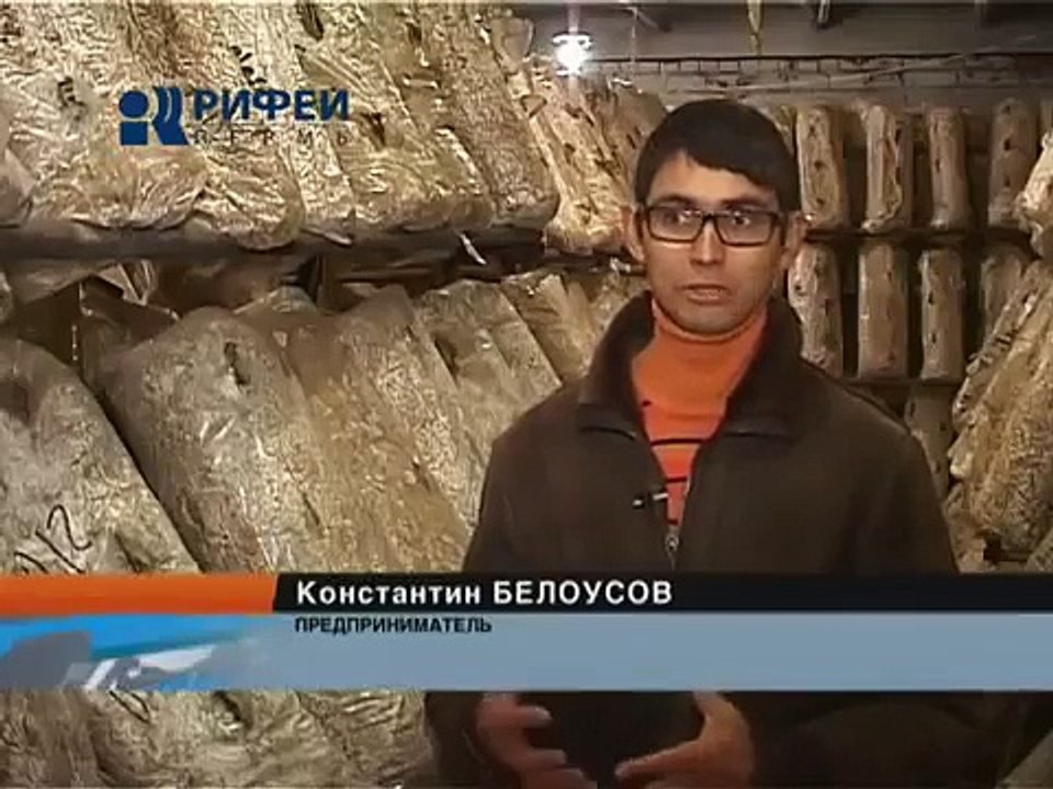 Мини-ферма вешенок