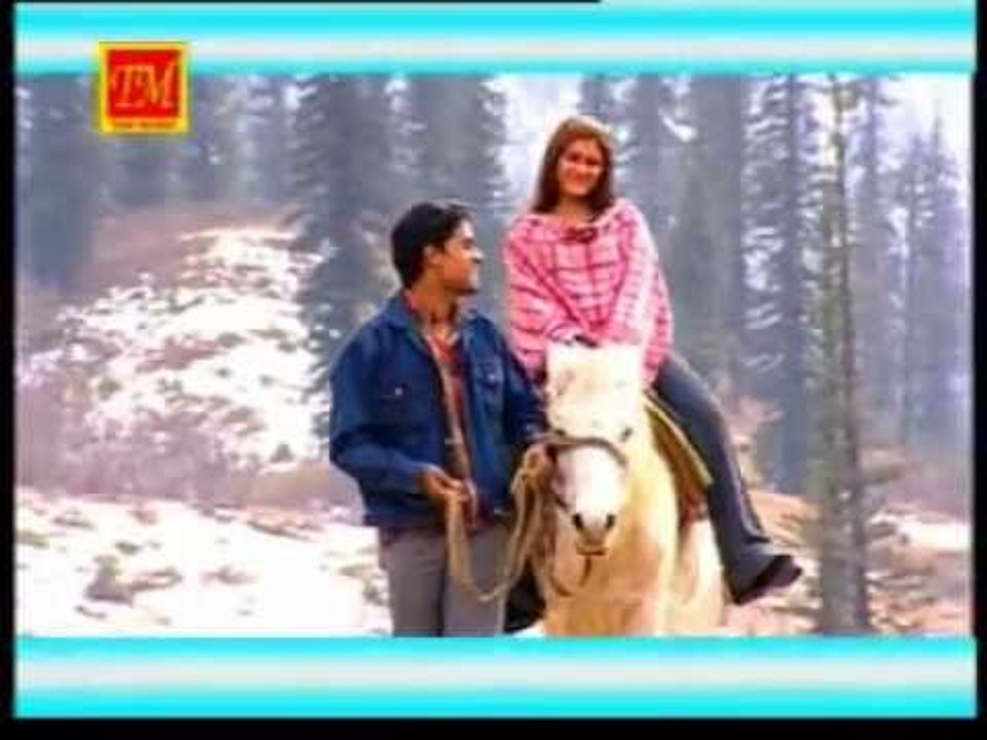 Meri Laila | New Himachali  Song | TM Music | Pop Song