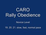 CARO Rally O 19. slow  20. fast  21. normal pace (change of pace)