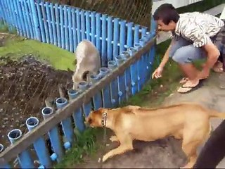 0031 *** Holiday #4: Białogóra 2008 - Madonna - Give it 2 me