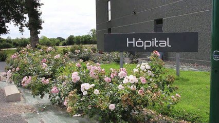 La gestion des pâtures - Clinique Equine de Meslay