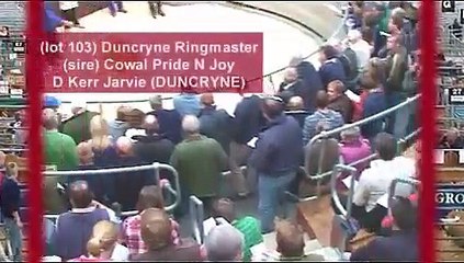 The Scottish National Sale of Texel Sheep 2010 (tape 2) at Lanark Mart (prices £5000 - £10,000)