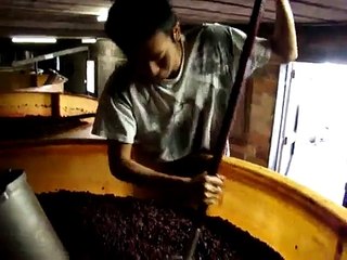 PIGEAGE DES SAVIGNY LES BEAUNE PAR TETSUYA