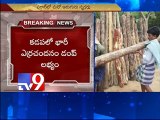 6 crores worth Redsanders dump seized in Kadapa