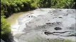 Hot springs, boiling mud and geysers in Rotorua, New Zealand