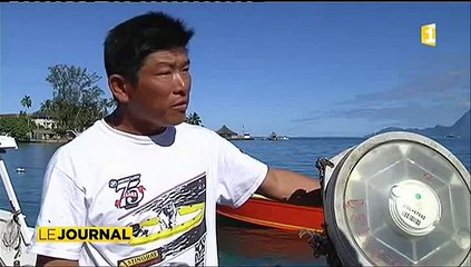 Découverte d’un dispositif clandestin de concentration de poissons