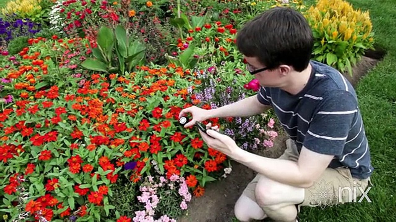 Nix Color Sensor – An IRL Color Picker to find the color of any object!