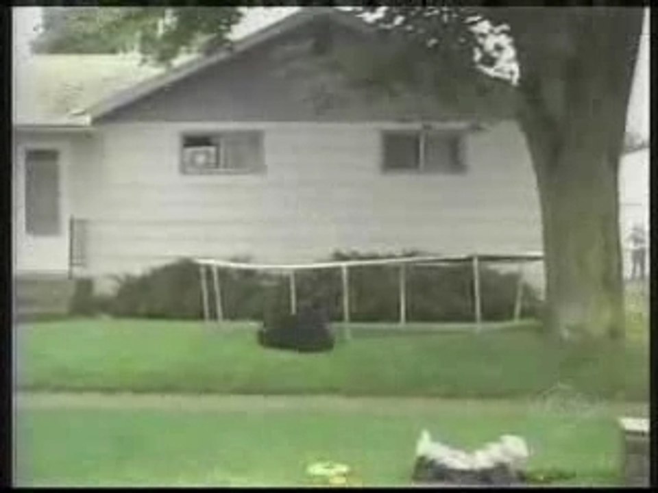 Bear Trampoline