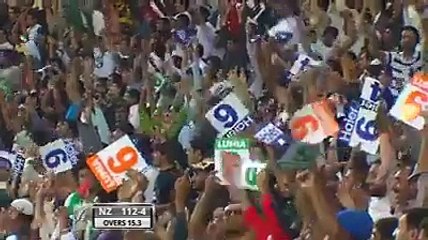 Awesome Catch by Saad Nasim