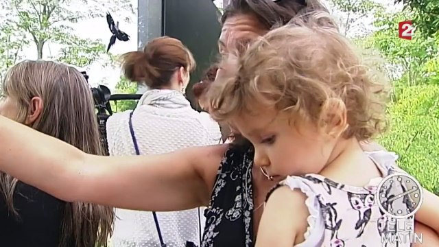 Première sortie pour les trois lionceaux nés au zoo de Vincennes