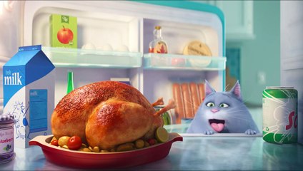 Animated Movie Trailer THE SECRET LIFE OF PETS (2016)