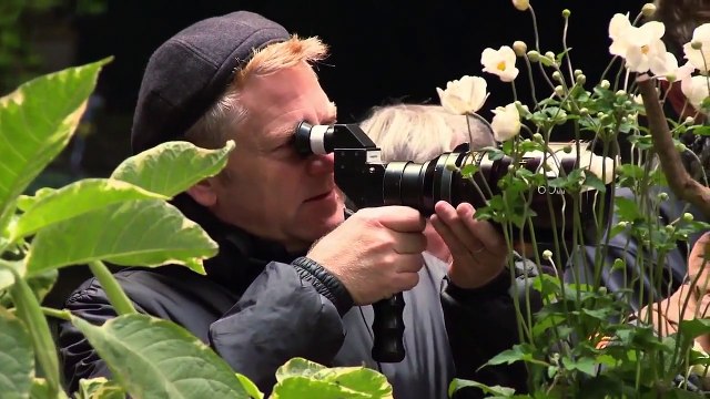 Cinderella (2015) Behind the Scenes Complete Broll - Lily James, Hayley Atwell, Helena Bon