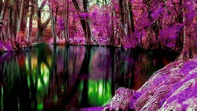 Stand By Me ...Willy Deville & Vanessa Paradis (Live / En Directo)