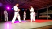 Judo Vendargues Gala fin d'année Jujitsu démonstration