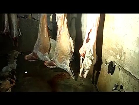 Illegal Slaughtering & Quality of Meat Kia Hum Dodh Ke Dhulay Hein